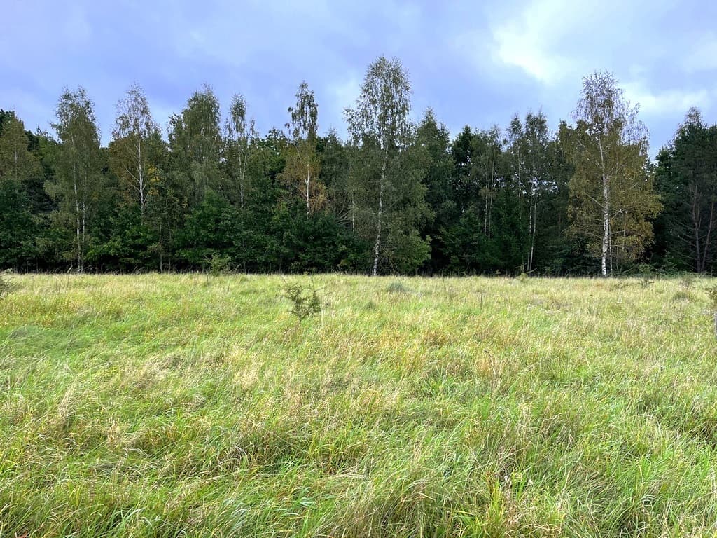 MARUNY - DZIAŁKI DO SPRZEDAŻY z warunkami zabudowy — zdjęcie 1