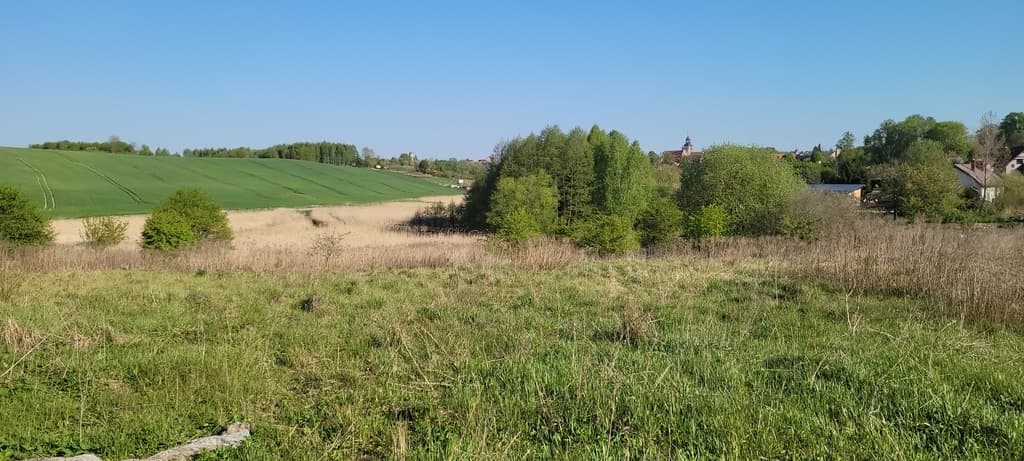 OSTATNIA DZIAŁKA BUDOWLANA - UL. GRANICZNA! — zdjęcie 1